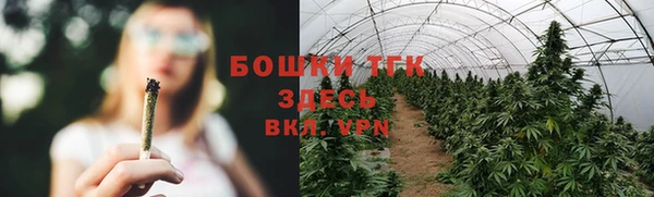 бошки Аркадак